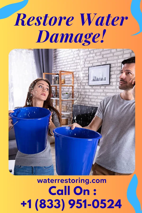 water restoration Vigilant Restoration Solutions Inc Lumberport
