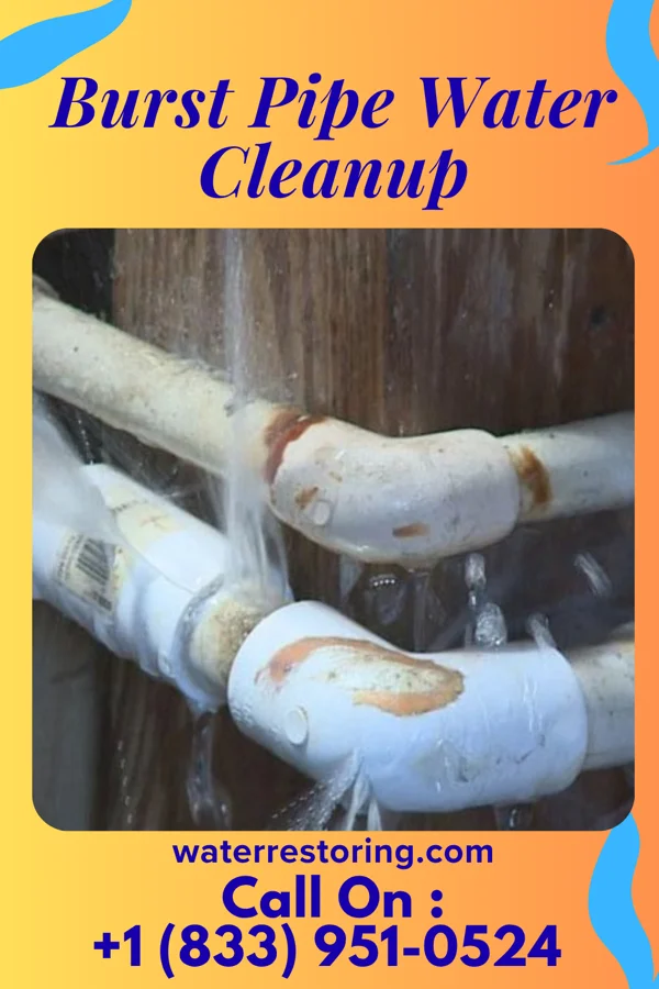 Burst Pipe Water Cleanup in Lumberport, WV