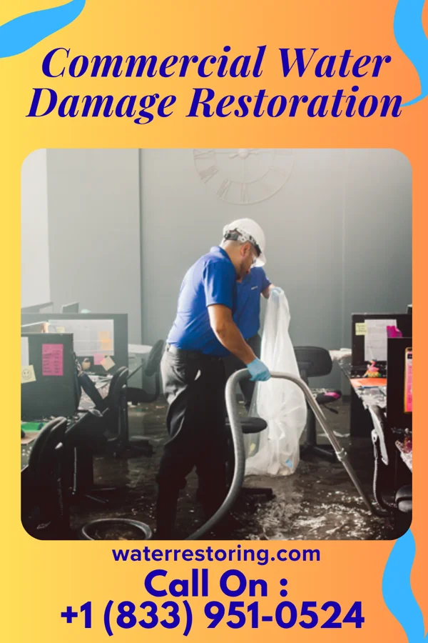 Commercial Water Damage Restoration in Lumberport, WV
