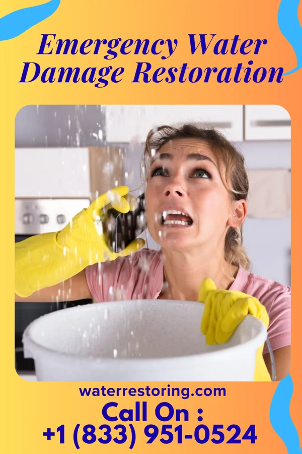 Emergency Water Damage Restoration in Lumberport, WV