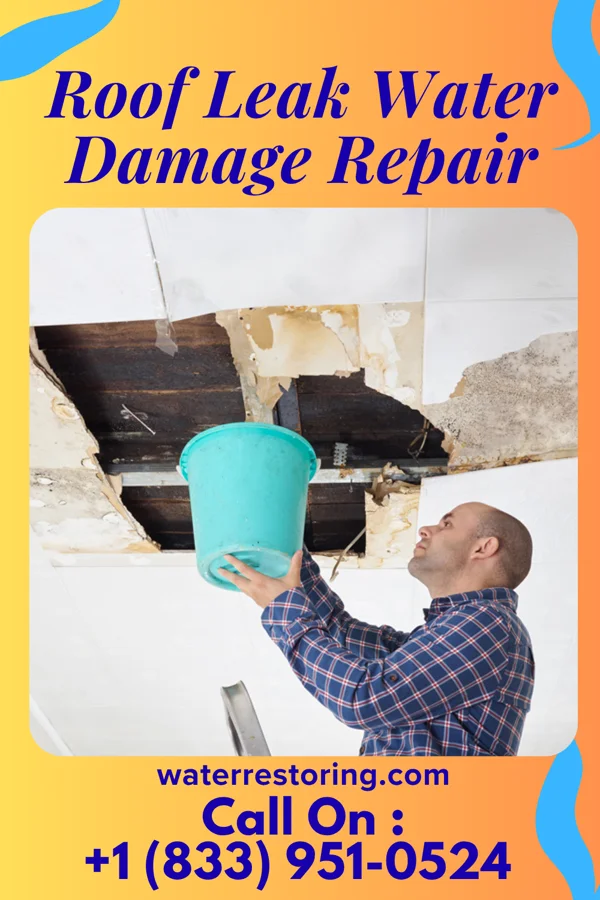 Roof Leak Water Damage Repair in Lumberport, WV
