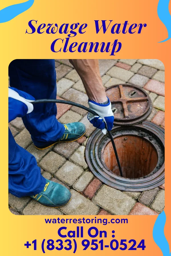 Sewage Water Cleanup in Lumberport, WV